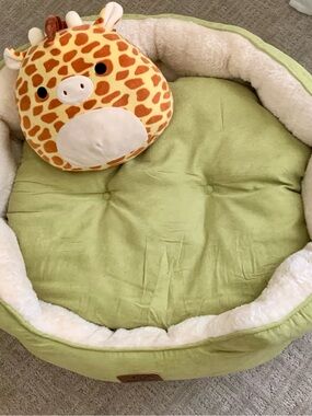 New Pet Sure bed